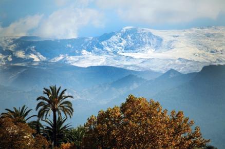 download sierra nevada
